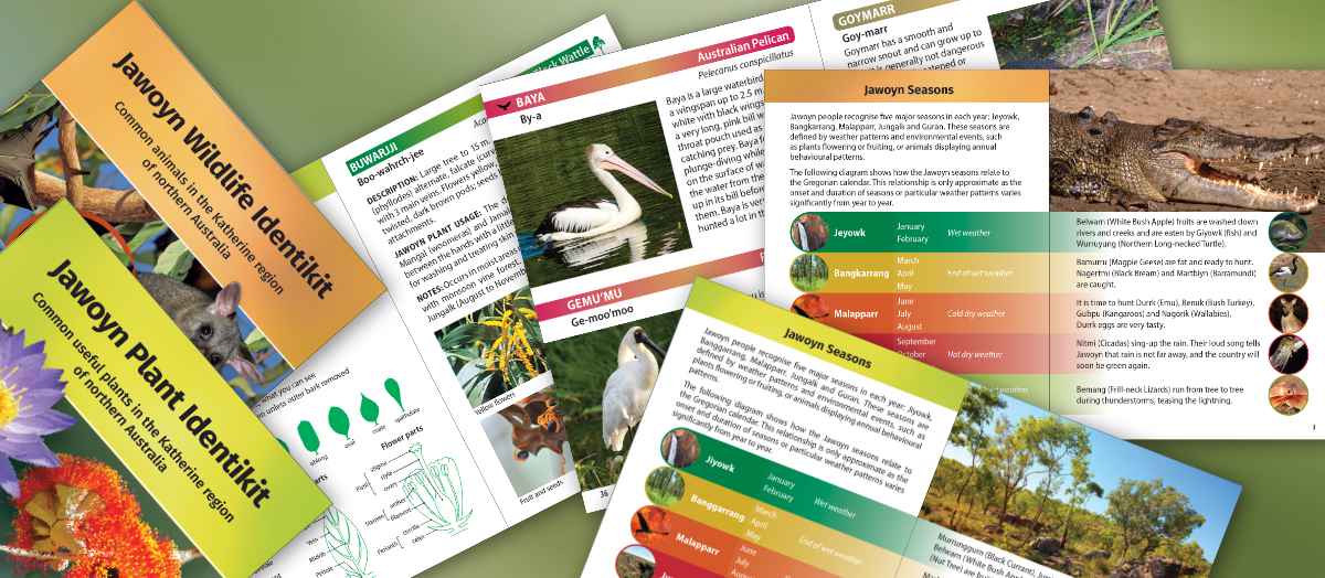 Milton Andrews Graphic Designer, Square Peg Design, Graphic Designers, Hobart, Tasmania, Graphic Design corporate report